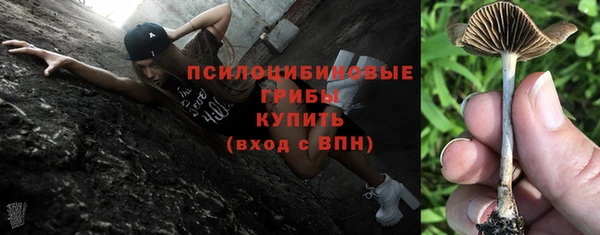 mdpv Ладушкин