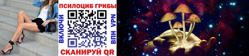 Галлюциногенные грибы GOLDEN TEACHER  Купить закладки  Новый Оскол 